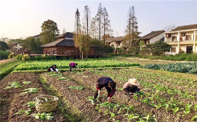 1527750051160859.jpg 20161228111353_9521_副本.jpg