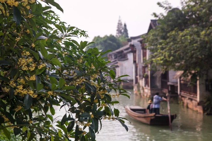 1527755455992483.jpg 2.jpg