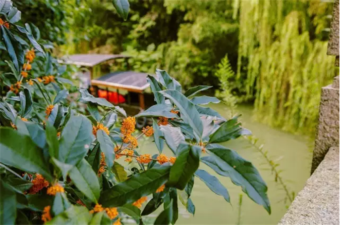 1527755998307676.png 20161007092250_6200.png