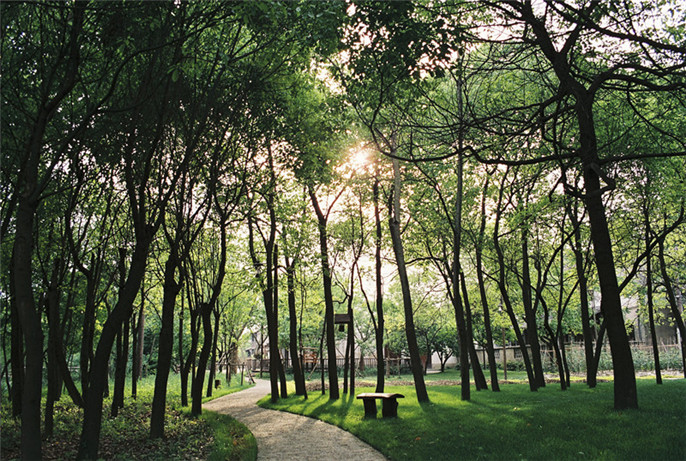 1527756205591066.jpg 20161007091549_2477.jpg