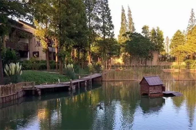 1527756768994333.jpg 3烏村.jpg