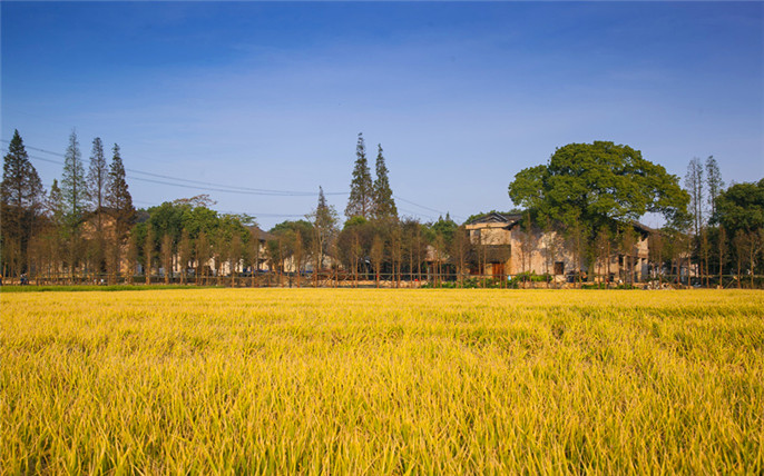 1527756826255237.jpg 6_副本.jpg