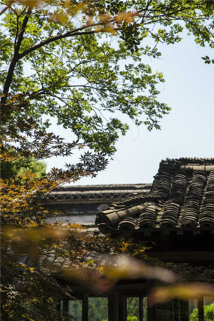 1527756986652159.jpg 20161007082123_5820.jpg