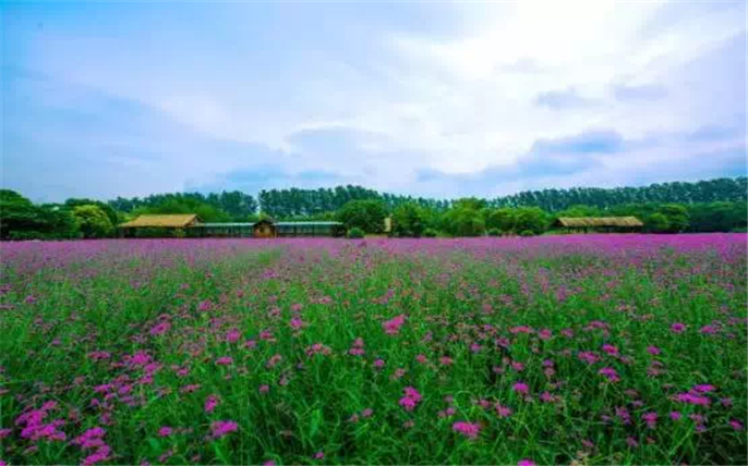 1527757294664368.png 4_副本.png