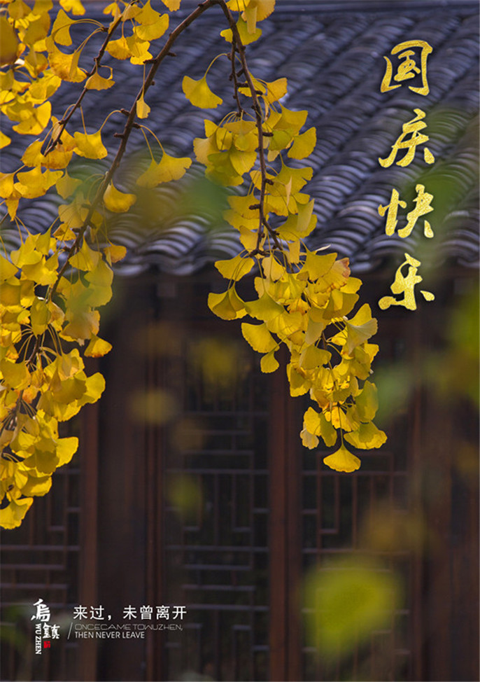 1527758717854038.jpg 20161001124706_7290.jpg