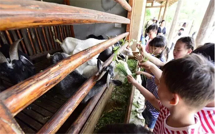 1527761650616028.jpg 9_副本.jpg