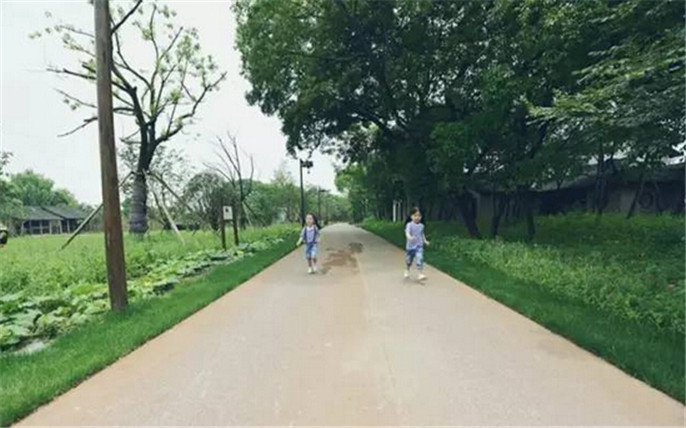 1527762169410672.jpg 4_副本.jpg