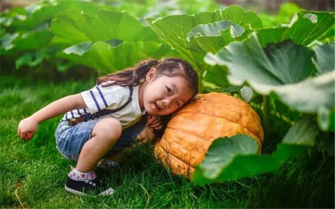 1527762185343539.jpg 6_副本.jpg