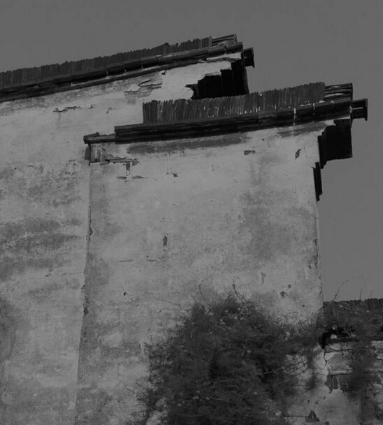 1527766004262823.jpg 2.jpg