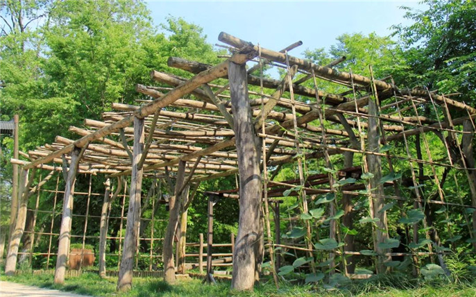 1528253972501738.jpg 3_副本.jpg