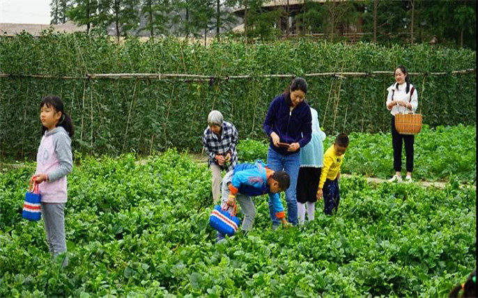 1528253992831366.jpg 4_副本.jpg