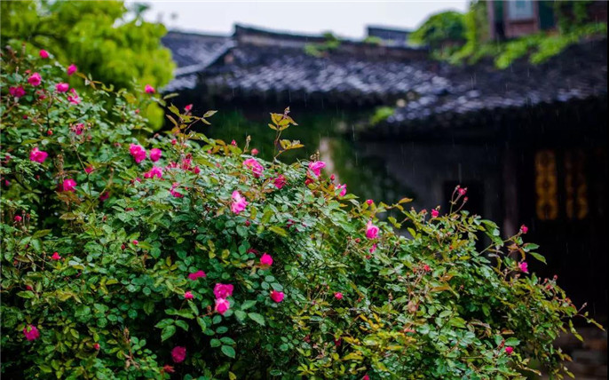 1528254106151513.jpg 13_副本.jpg