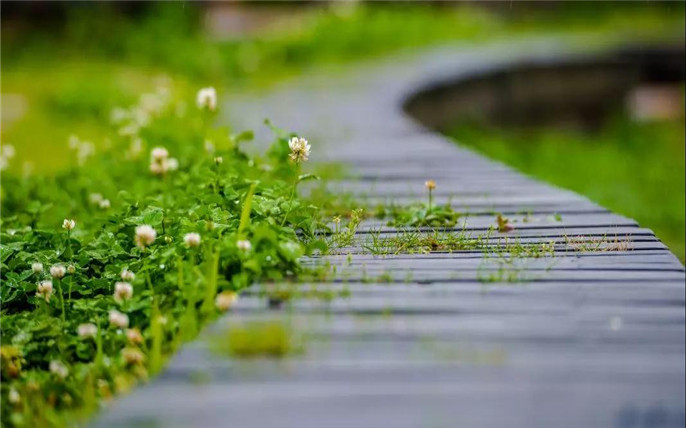 1528254129218266.jpg 16_副本.jpg