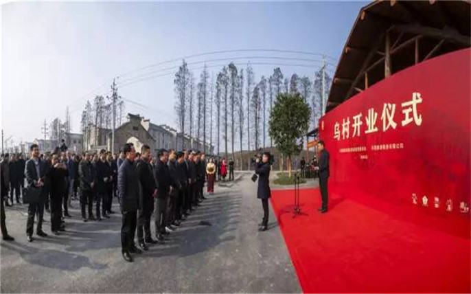 1528261167589673.jpg 20160122115011_1283_副本.jpg