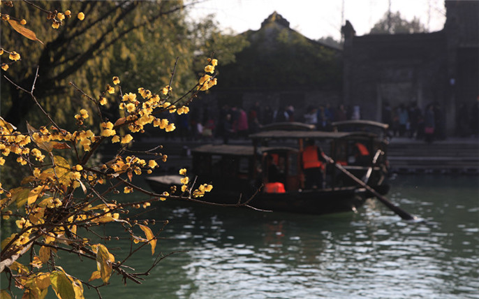 1528262422705536.jpg 20160102164443_3023_副本.jpg