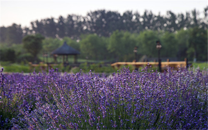 1528268851817070.jpg 3_副本.jpg