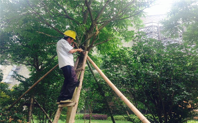 1528272689857356.jpg 2_副本.jpg