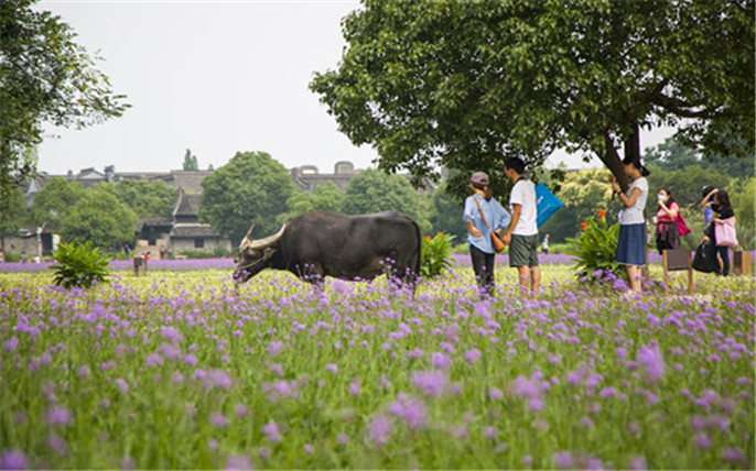 1528274881965546.jpg 2_副本.jpg