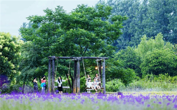 1528275205657556.jpg 2_副本.jpg