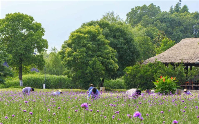 1528275219388204.jpg 4_副本.jpg