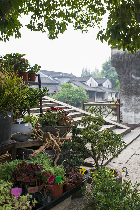 1528276238307431.jpg 3.jpg