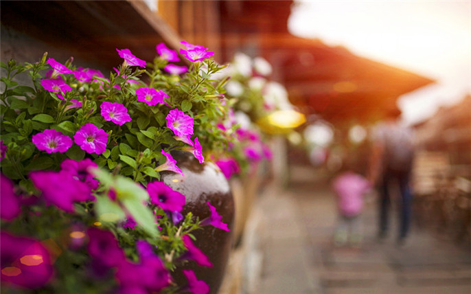 1528338177590328.jpg 6_副本.jpg