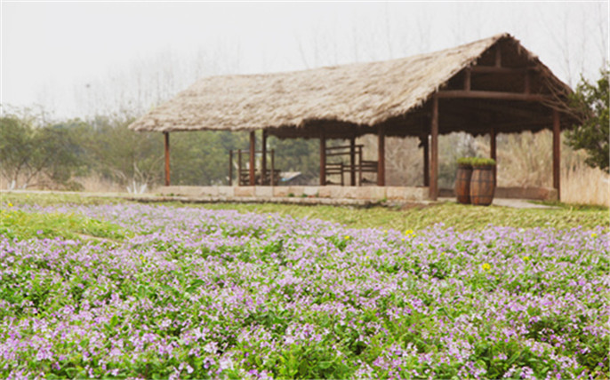 1528358013112293.jpg 1_副本.jpg