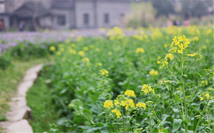 1528358020110206.jpg 2_副本.jpg