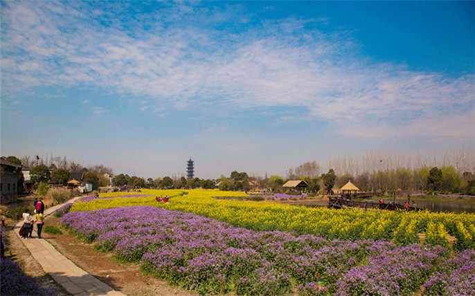 1528359053441868.jpg 3_副本.jpg