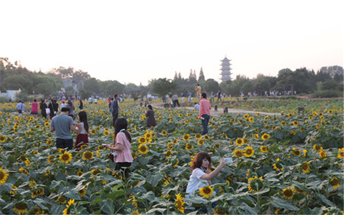 1528445629443166.jpg 3_副本.jpg