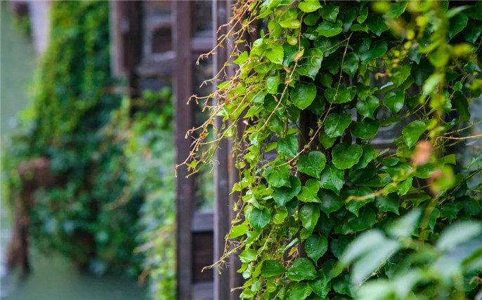 1529736580965427.jpg 18_副本.jpg