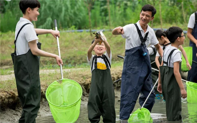 1530065841261417.jpg 12_副本.jpg