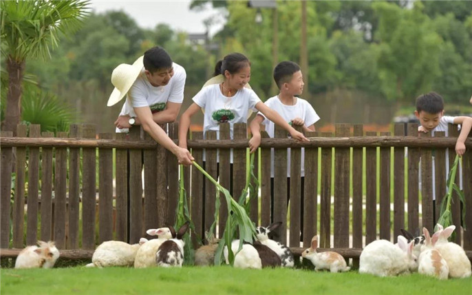 1530065849427412.jpg 13_副本.jpg