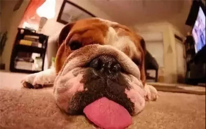 1531014934399257.jpg 3_副本.jpg