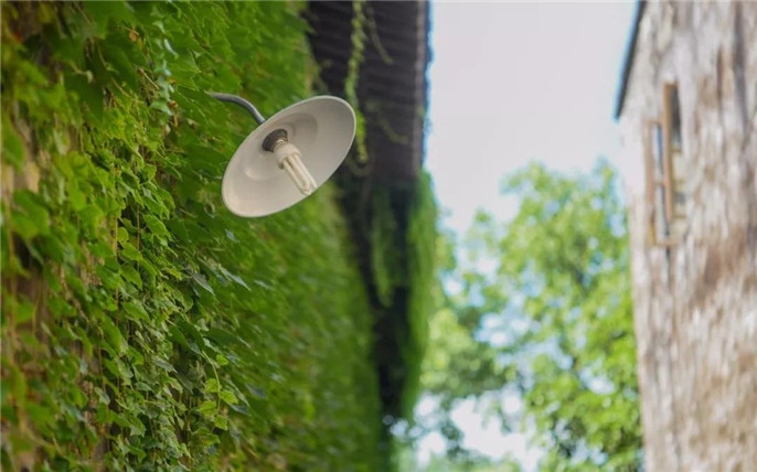 1531014951696204.jpg 2_副本.jpg