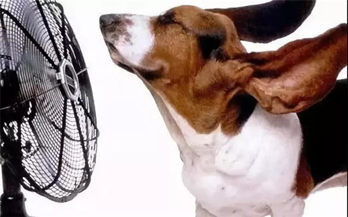 1531014959424166.jpg 4_副本.jpg