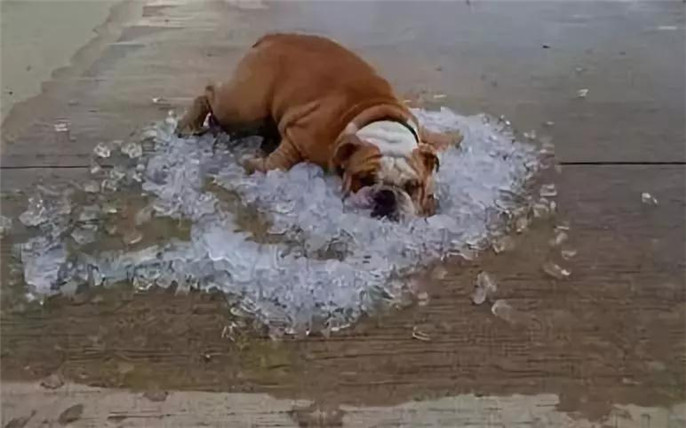 1531014965315223.jpg 5_副本.jpg