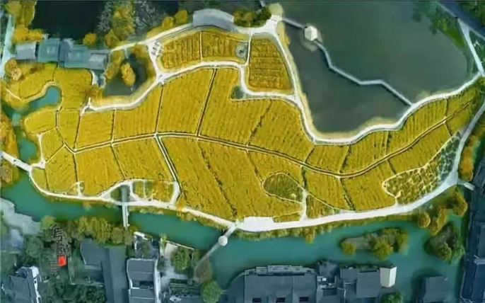 1531014991879529.jpg 6_副本.jpg