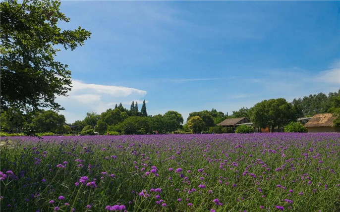 1531015010637767.jpg 9_副本.jpg