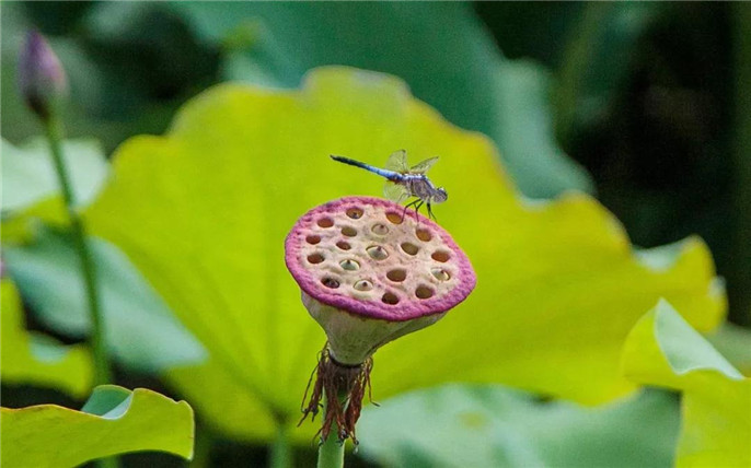 1531015101395693.jpg 13_副本.jpg