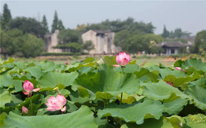 1531015105237441.jpg 14_副本.jpg