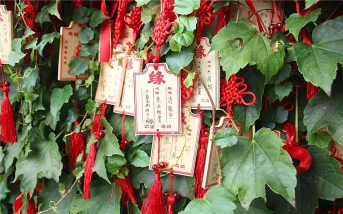 1531015144210831.jpg 18_副本.jpg