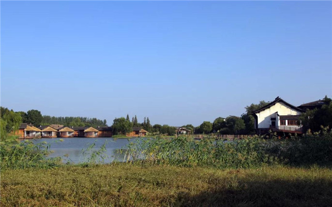 1531015206157124.jpg 20_副本.jpg