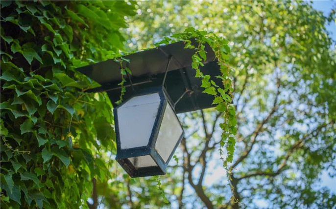 1531015486946893.jpg 24_副本.jpg