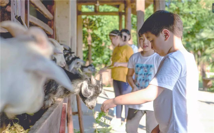 1531201604389393.jpg 微信圖片_20180709162241_副本.jpg