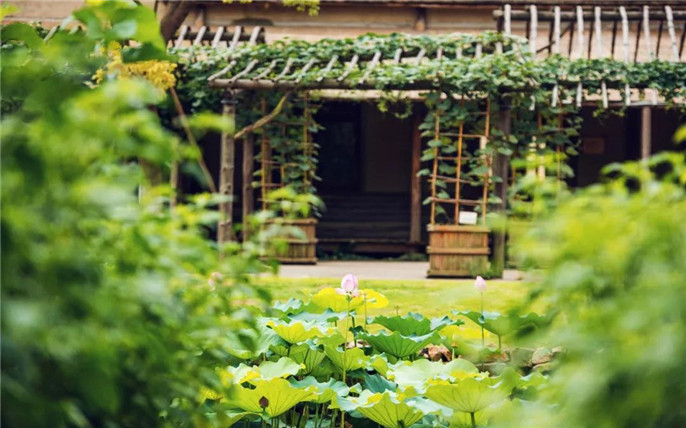 1531201725220615.jpg 微信圖片_20180709162259_副本.jpg