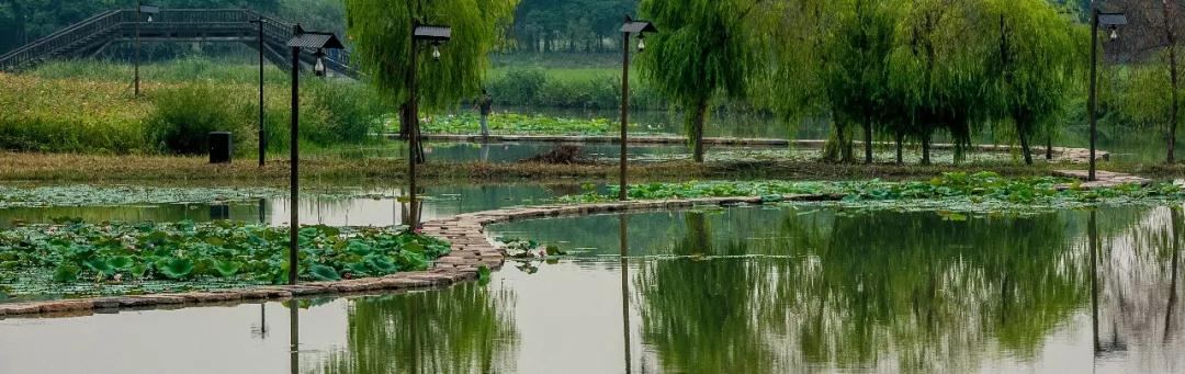 1531201737976929.jpg 微信圖片_20180709162303.jpg