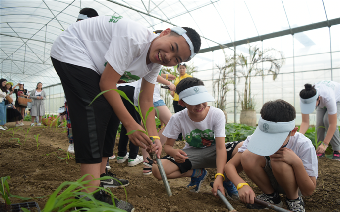 1531201762477961.png 微信圖片_20180704110709_副本.png