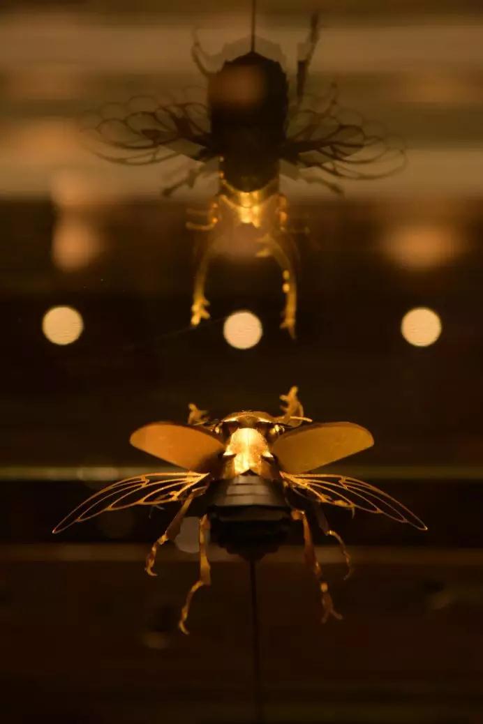 1532220662998850.jpg 微信圖片_20180722084835.jpg