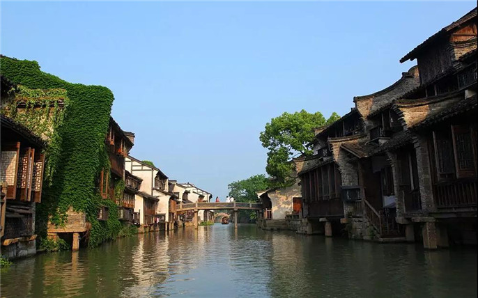 1533257750613606.jpg 3_副本.jpg